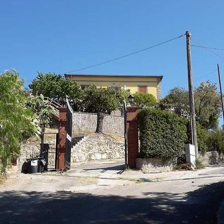 Villa Filomena Montecorice Eksteriør billede