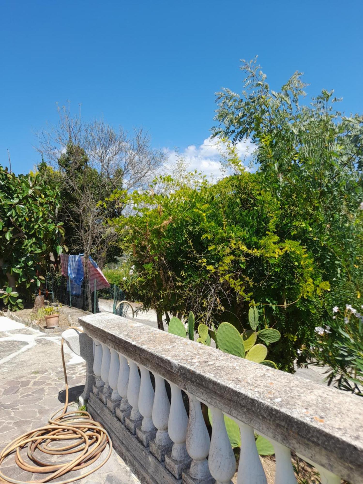 Villa Filomena Montecorice Eksteriør billede